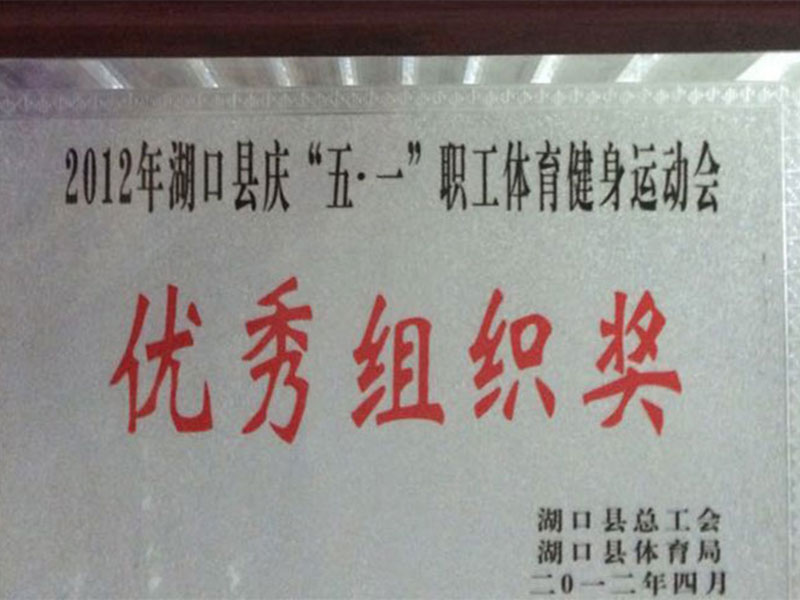 优秀组织奖