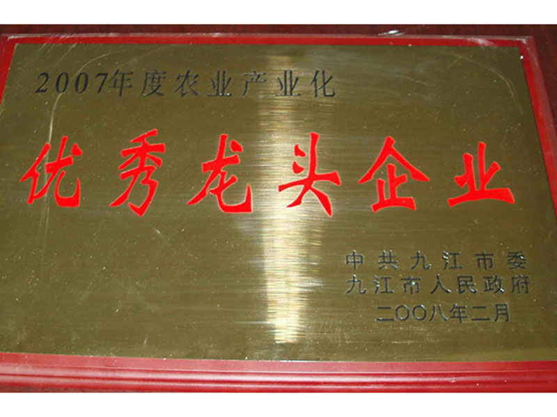 优秀龙头企业