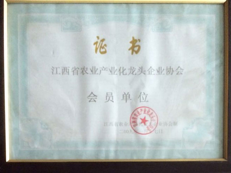 会员单位
