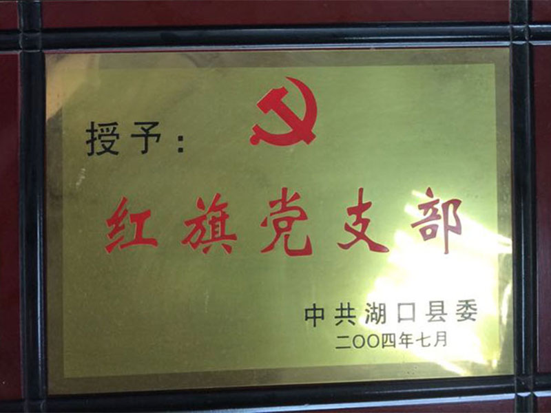 红旗党支部